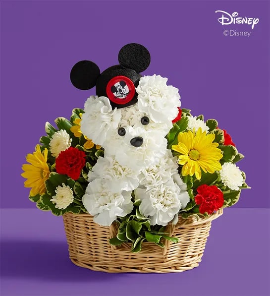 a-DOG-able® Disney Mickey Mouse -  Our signature flower pup is blooming from ear to ear! Part of our new Disney collection, it’s crafted from white carnations, with red, yellow and white flowers all around to match the colors of Mickey Mouse’s iconic pants. Complete with a genuine replication of the original 1950’s Mouseketeer hat, it’s a gift is full of charm and nostalgia for every Disney fan