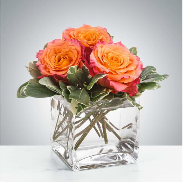Petite Sunset by BloomNation™ Petite Sunset by BloomNation™ - A petite 3 rose gift is a perfect little "thinking of you" arrangement. Spirit roses are so beautiful on their own, they don't need much else to leave an impact. Approximate Dimensions: 5"D x 5"H