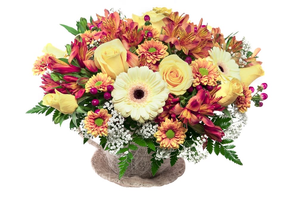 A Day for Daisies - Introducing our vibrant Flower Arrangement, a stunning display that combines the beauty of Gerber daisies, select daisies, alstroemeria roses, and hypericum berries. This arrangement is carefully curated to create a burst of color and charm that will captivate any recipient.  The focal point of this arrangement is the Gerber daisies, with their bold and eye-catching blooms. These daisies come in a variety of energetic hues, from vibrant oranges and yellows to soft pinks and purples. Their large, cheerful petals add a playful and whimsical touch to the arrangement.  Complementing the Gerber daisies are the select daisies, which offer a different texture and shape. Their delicate and simple flowers add a touch of elegance and provide a beautiful contrast to the other blooms.  The alstroemeria roses are another highlight of this arrangement. These roses, known for their long-lasting blooms and vibrant colors, bring sophistication and grace to the mix. Their petals come in a range of shades, from soft pastels to rich, deep hues, adding depth and variety to the arrangement.  To add a pop of texture and visual interest, we incorporate hypericum berries. These small, round berries come in various shades, from fiery reds to deep purples, and their glossy appearance adds a touch of luxury to the overall arrangement.  Each element of this floral composition is thoughtfully arranged, creating a harmonious display of colors, shapes, and textures. The combination of Gerber daisies, select daisies, alstroemeria roses, and hypericum berries ensures that this arrangement is vibrant, joyful, and exudes a sense of natural beauty.  Whether you're sending this arrangement as a gift to celebrate a special occasion or using it to enhance the ambiance of your own space, this Flower Arrangement is sure to make a lasting impression. Its lively colors and exquisite combination of blooms will bring warmth and cheer to any setting.  Order this stunning Flower Arrangement today and let the beauty of Gerber daisies, select daisies, alstroemeria roses, and hypericum berries brighten up your day or that of someone special.