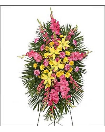 Paradise Spray Paradise Spray - FCS-024