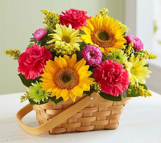 Sunny Garden Basket - There’s so much about a garden to inspire—vibrant colors, sweetly scented blooms... and that’s why we’ve captured it all in one charming basket! Filled with a beautiful mix of roses, sunflowers, daisies, and more, our hand-designed arrangement will inspire them to smile brighter, laugh longer... and delight in the moment forever. Standard arrangement measures approximately 12&quot;H x 11&quot;D and include daisies instead of roses Deluxe arrangement measures approximately 14&quot;H x 13&quot;D Premium arrangement measures approximately 16&quot;H x 15&quot;D  