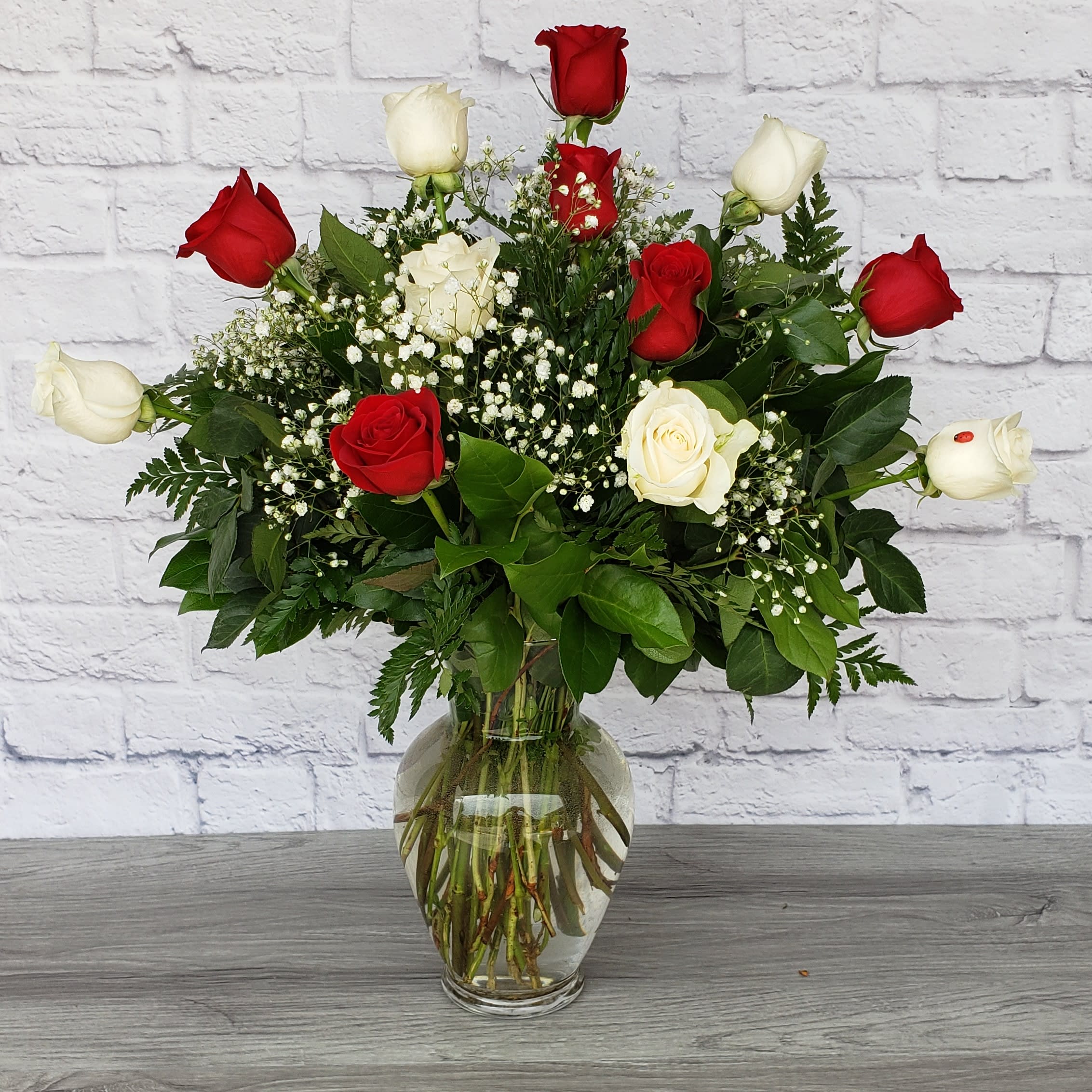 Dozen Long Stemmed Red and White - Dozen Long Stemmed Red and White Roses is the perfect gift to show your love and appreciation.  All Round Orientation 24” Tall 24” Wide