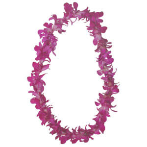 Purple Orchid Leis (10 Leis) | Hawaii Flower Delivery