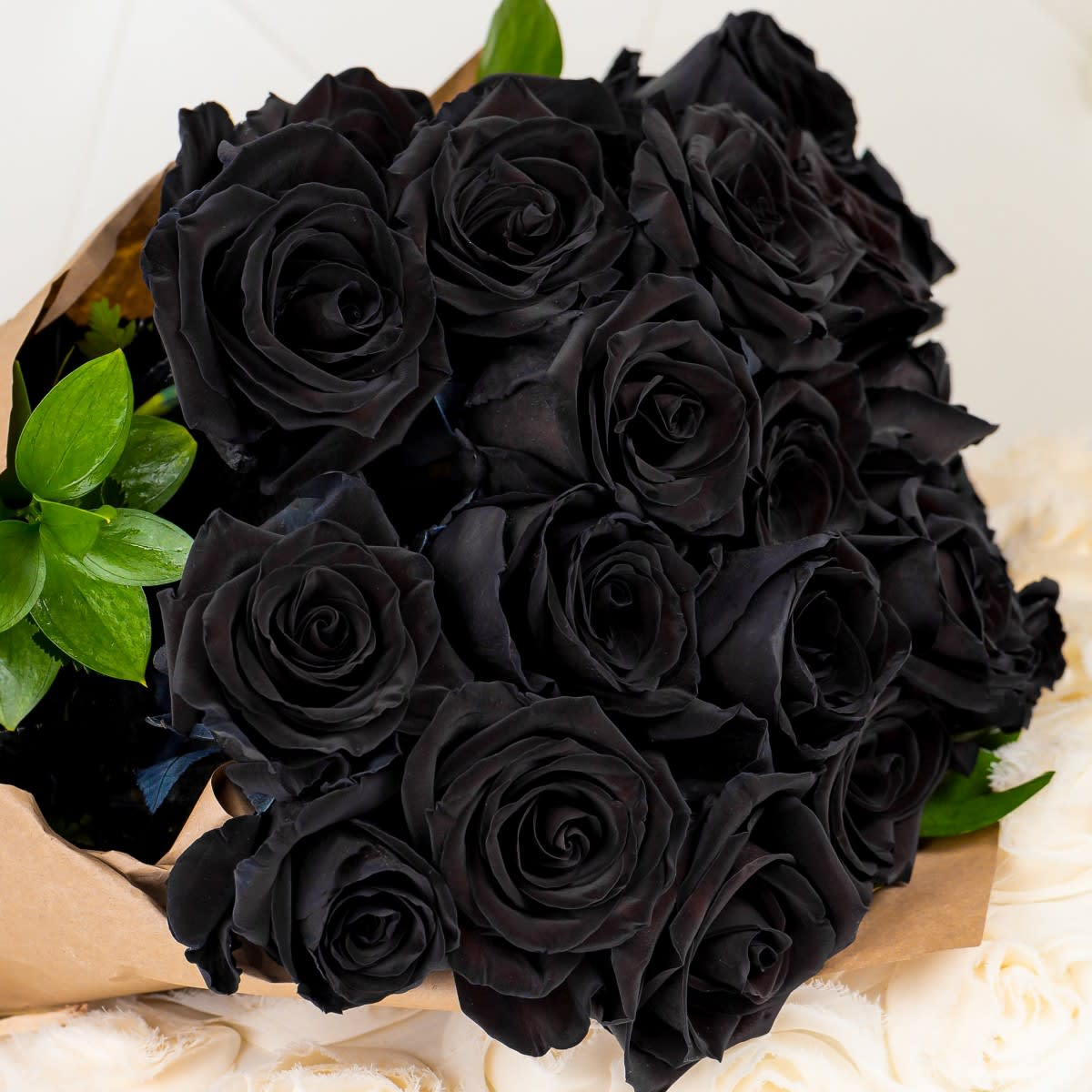 Black Roses Arranged in a Vase