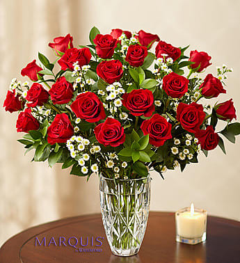 Red roses - Roses