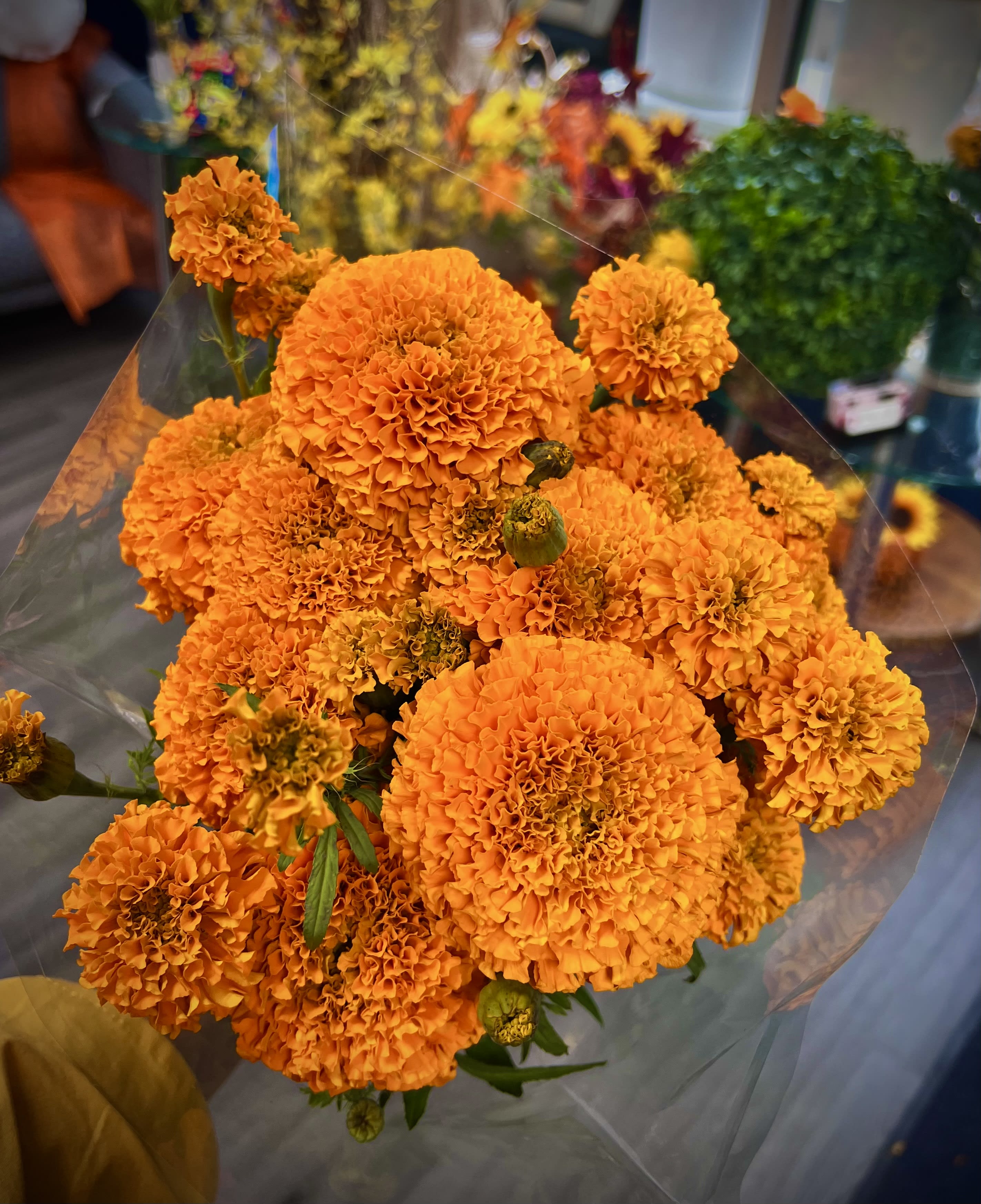 Marigold Bouquet (Limited Time Only) in Chicago, IL Tito's Flowers