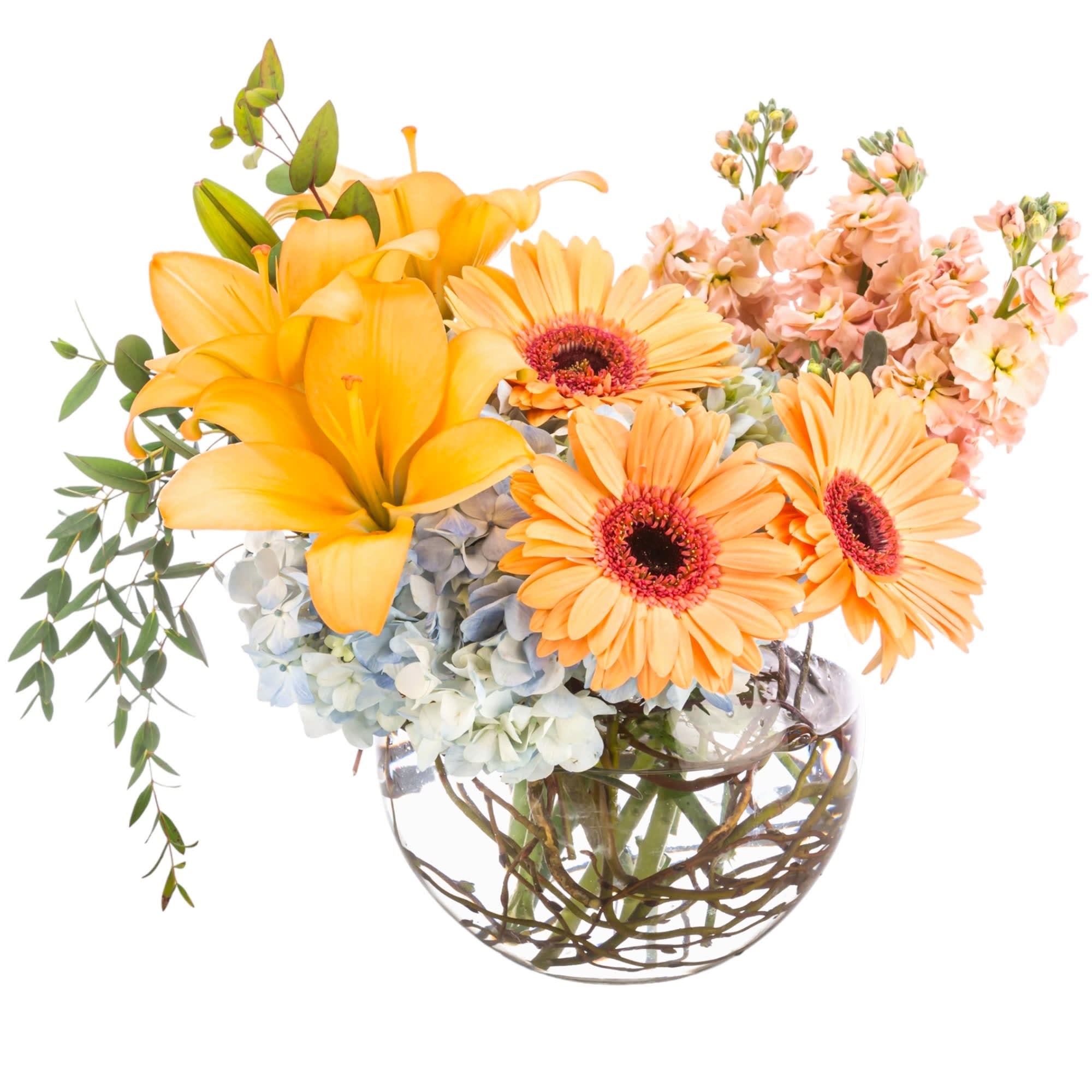 Peach Tea Party Flower Arrangement - A chic and stylish bubble vase arrangement, this makes an elegant gift for anybody. Send it to in-laws, new clients, or new employees to leave a great impact. It also makes a great gift for a birthday.  Peach and blue blooms are a sweet way to show your affection. Boasting beautiful flowers, this chic bouquet is full of texture and makes a fabulous gift.  DETAILS A stylish bubble vase features lovely flowers including peach gerbera daisies, light orange Asiatic lilies, peach stock, blue hydrangea, eucalyptus, and curly willow.  VASE INCLUDED  FLORIST-TO-DOOR  Orientation: All-Around  BLOOM DETAILS Asiatic Lilies Gerbera Daisies Stock Greenery  The Standard Arrangement is approximately 15&quot;D x 13&quot;H. The Deluxe Arrangement is approximately 15 1/2&quot;D x 13 1/2&quot;H. The Premium Arrangement is approximately 16&quot;D x 14&quot;H.  Designed by our award-winning florist designers.  HOW TO CARE FOR YOUR FLOWERS 1. Keep in a location without direct sunlight and away from extreme heat or cold. 2. Replace the water regularly and mix in the flower food packet provided. 3. Trim the stems at an angle every other day. 4. As flowers/foliage wilt, remove &amp; discard  Please Note: The arrangement pictured reflects an original design for this product. While we always do our best to follow the original flower recipe, the exact flower or container is sometimes unavailable. We may replace items of equal or greater value to deliver the freshest flowers possible while keeping the style &amp; color palette. We assure you that we will create a beautiful, fresh flower arrangement with only the best quality flowers to keep you as a loyal customer.  How to place an order? We have several options. 1. You can place an order directly on this secure website... OR 2. You can call in your order by dialing: (323) 262 - 9238... OR 3. You can visit our store (appointment recommended 323.262.9238)  NINFA'S FLOWERS 2405 WHITTIER BLVD. LOS ANGELES, CA. 90023  ATTENTION: *Please note that on busy holidays, Valentine's Day, and Mother's Day, we cannot verify if the recipient received the flowers until the following day because our drivers don't turn in their signature delivery tablets until the following day. You can verify delivery on the website after 10:00 pm, call 323.262.9238 the following day after 10:00 am, or contact the recipient directly if you haven't received a call from them. Thank you for your patience and understanding.