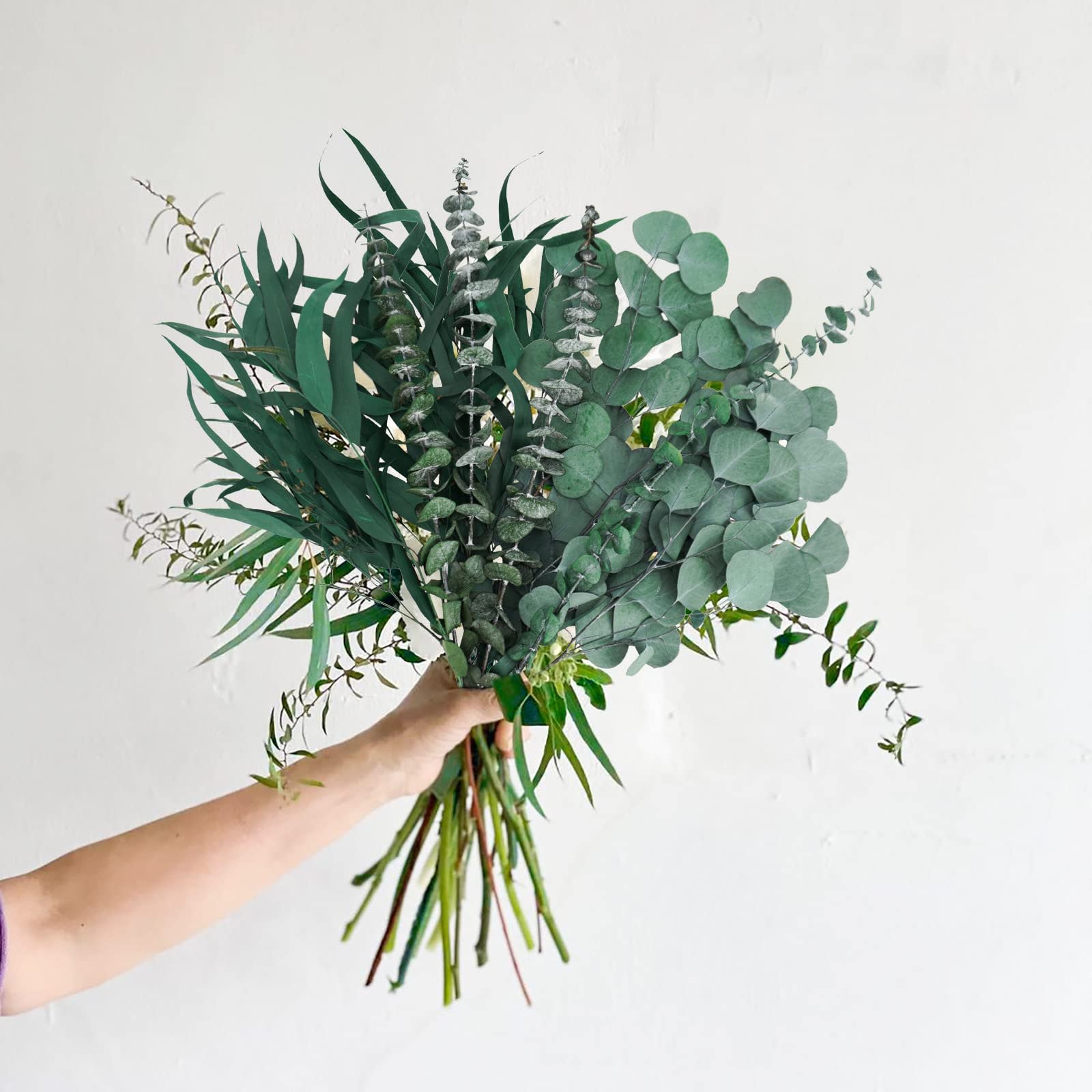 Eucalyptus bouquet 2024