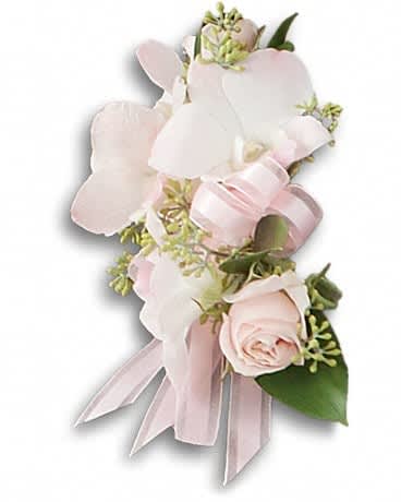 Beautiful Blush Corsage - A pale pink rose and dendrobium orchid highlight your beauty. Light pink roses and dendrobium orchids are accented with seeded eucalyptus and Israeli ruscus.