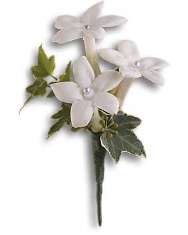 White Gloves Boutonniere - Classic white stephanotis are equally elegant and fragrant. Classic white stephanotis with variegated ivy and seeded eucalyptus.