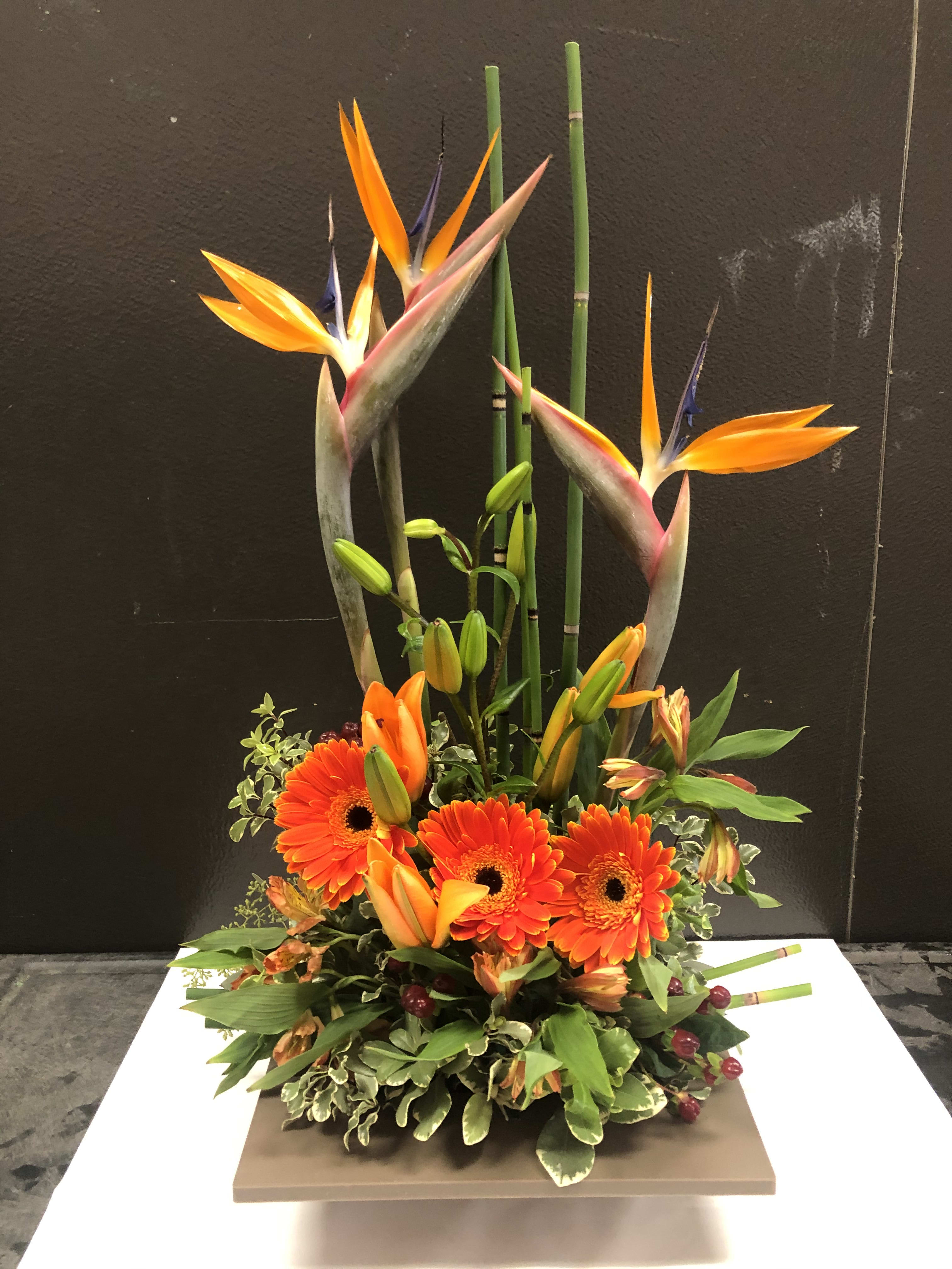 Dancing in paradise - This arrangement is set elegantly with birds of paradise and gerbera in a contemporary tray. This will remind you of a time in paradise with these tropical flowers.