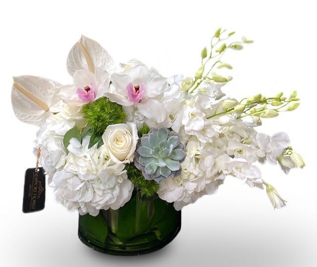 Day &amp; light By Newport Florist NF297 - A modern accent for any occasion, this beautiful sculpture blends snow white hydrangea, Dendorbium orchids, cymbidiums, Succulent and green dihanthus  with an unique Design. All Around.