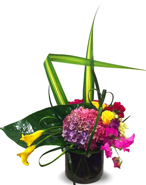 Modern Blooms By Newport Florist NF241 - The perfect setting for this explosively colorful bouquet the arrangement features yellow mini callas, purple hydrangeas, yellow and pink roses, tropical leaves folded flax leaves and more Don't let this one go!!! It's the perfect one.