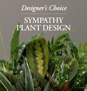 Designer's Choice Planter - Let our designers create a beautiful planter arrangement with living plants to be enjoyed for years to come.