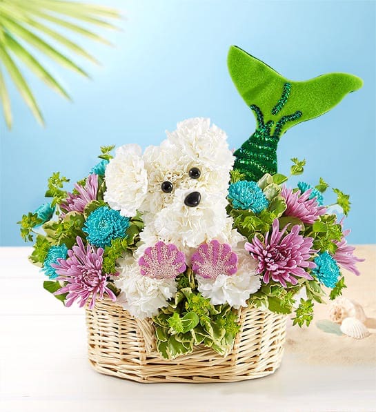 Seaside Mermaid Dog - Surrounded by cool-toned blooms, she’s ready to send waves of happiness over birthdays, beach days…any day you want to make a little more magical. • One-sided 3D arrangement with white carnations, lavender cushion poms, white button poms sprayed turquoise; accented with assorted greenery • Crafted in the shape of a dog, complete with ears, eyes and mouth ; sparkly lavender bikini shell top and glittery sequined green mermaid tail 