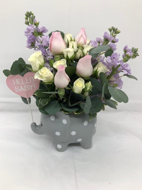 Hello Sweet Baby PINK - This adorable gift features pink roses, white spray roses, pink stock, and dusty miller. Delivered in a Hello Baby Elephant. Approximately 11 1/2&quot; W x 11 3/4&quot; H     ONE SIDED  Flowers and colors may be substituted depending on availability.   FCF-TNB06-1
