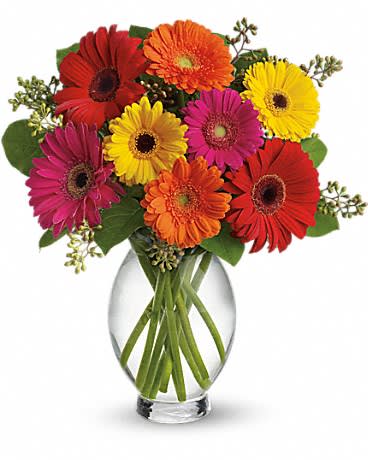 Teleflora's Gerbera Brights - Sending this bouquet just might be your brightest idea of the summer! Gerberas are so full of color charisma and character and this arrangement showcases their glory.