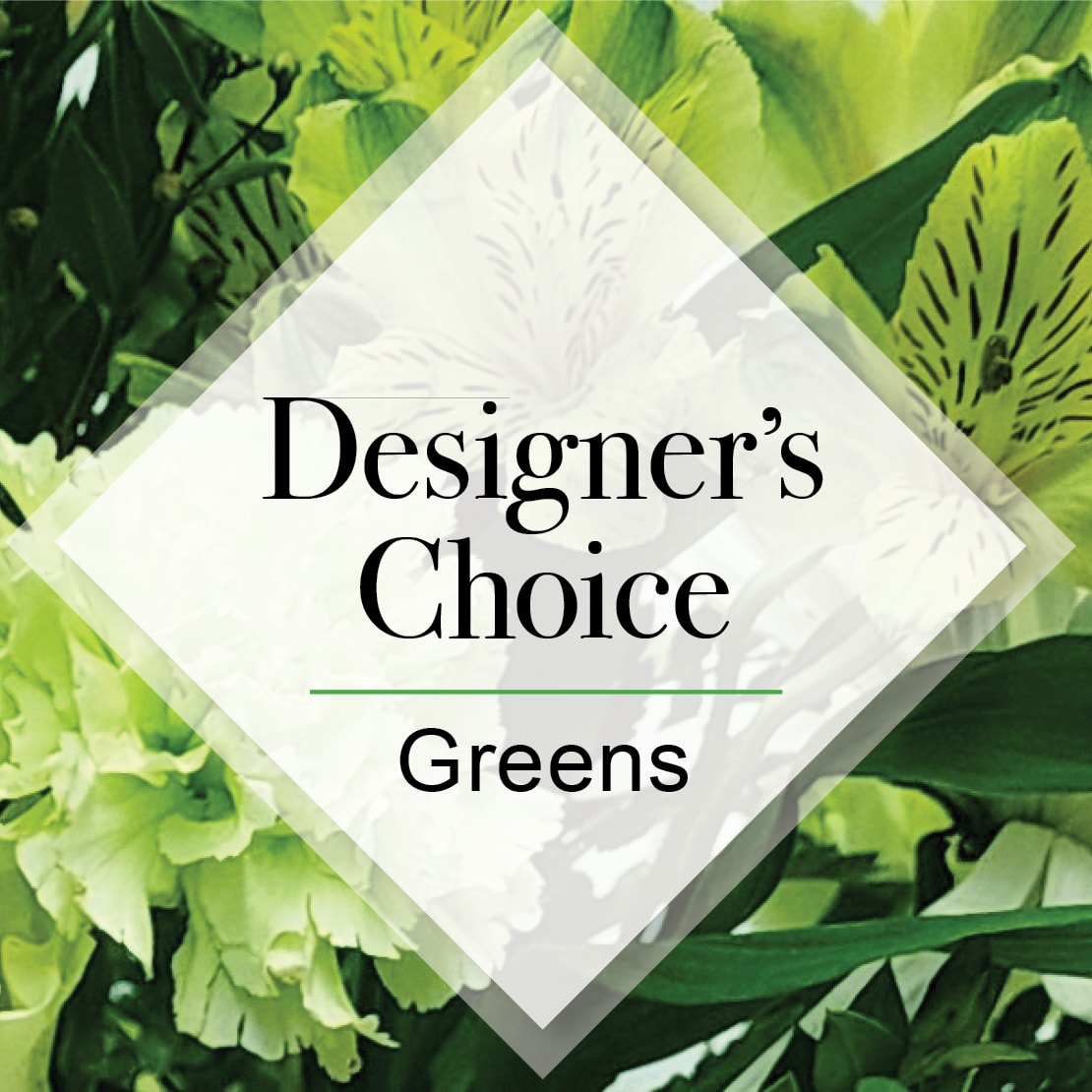Designers Choice Greens - A selection that will be predominately the color that you have chosen with accents and greenery to compliment. The designers have the flexibility to create something unique and beautiful for you and is often the best value for you. If you have specifics you would like to request please include in the comments / special instructions area when placing your order.