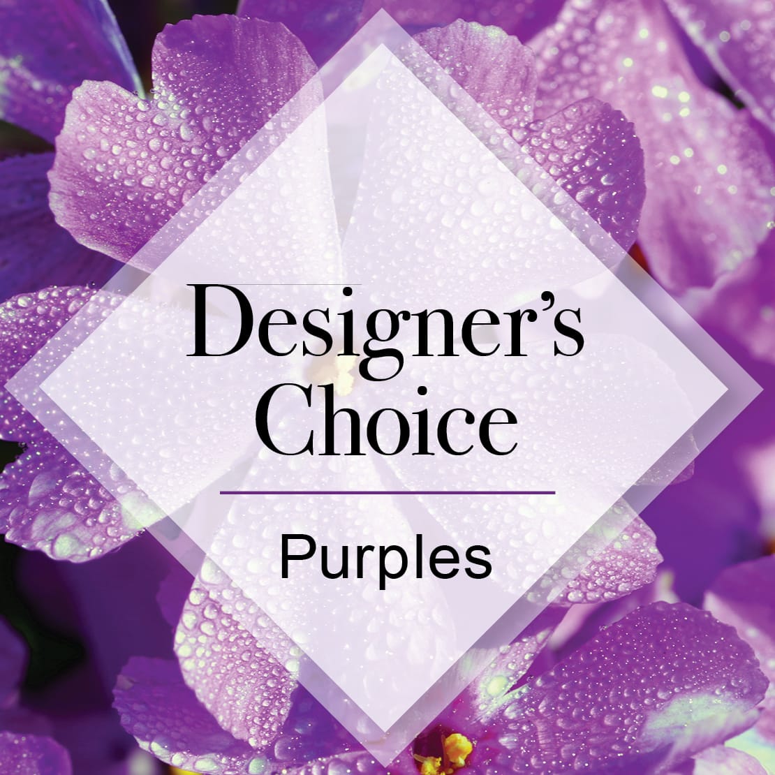 Designers Choice Purple - A selection that will be predominately the color that you have chosen with accents and greenery to compliment. The designers have the flexibility to create something unique and beautiful for you and is often the best value for you. If you have specifics you would like to request please include in the comments / special instructions area when placing your order.