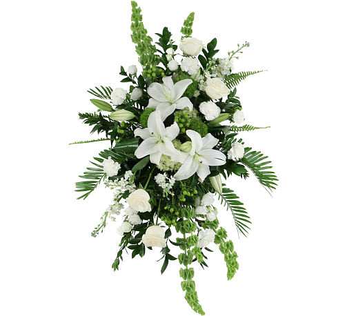 Peace and Healing Spray  - A peaceful spray of white and green can soothe in a time of loss. This classic design of white and green flowers is a comforting gift that makes the perfect gesture of your sympathy.