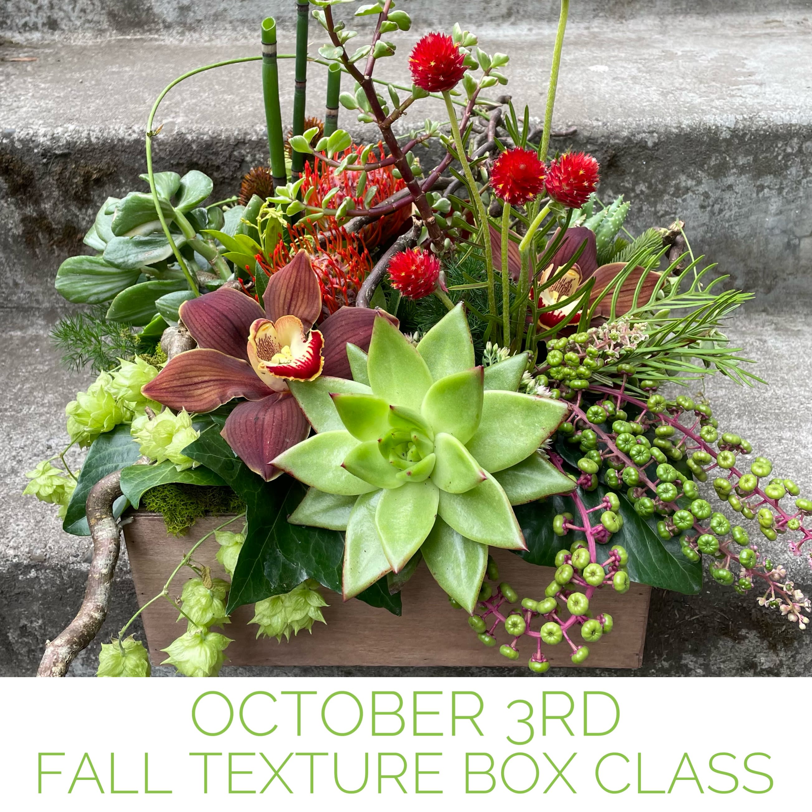 October 3rd, 2024 - Fall Texture Box Class - Our Texture Boxes were an immediate hit when we started offering them in our former boutique inside the Nordstrom Flagship store. When we offered them online, they became an even bigger hit! In fact, they were such a big hit that we now offer texture boxes in four sizes and have added Texture Bowls to create what we call our Texture Collection.  We were constantly asked when we were going to offer a class in how to make them, so we decided to give it a try it. The Texture Box classes have been full ever since. They are scheduled twice a year, once in spring and again in fall, and the boxes in each season have a very different feeling that is attuned to the season.  We supply everything that you need to create a beautiful Texture Box worth $115 that reflects your personal style. We also explain give instruction how to plant the succulents from your Texture Box so that you may continue to enjoy them once the flowers have faded. The box and liner can be reused to create your own designs at home. See our Texture Collection of arrangements by selecting &quot;Shop Online&quot; from the &quot;Shop&quot; dropdown menu.