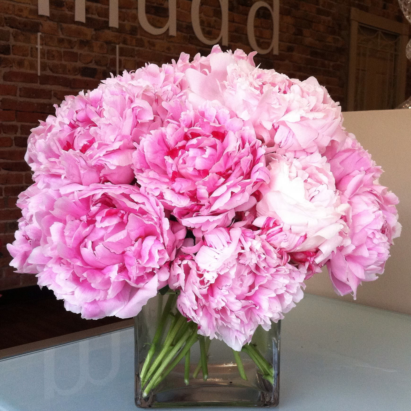 Pink Peonies - A lush pave of pink peonies presented in a 5x5&quot; clear glass cube.