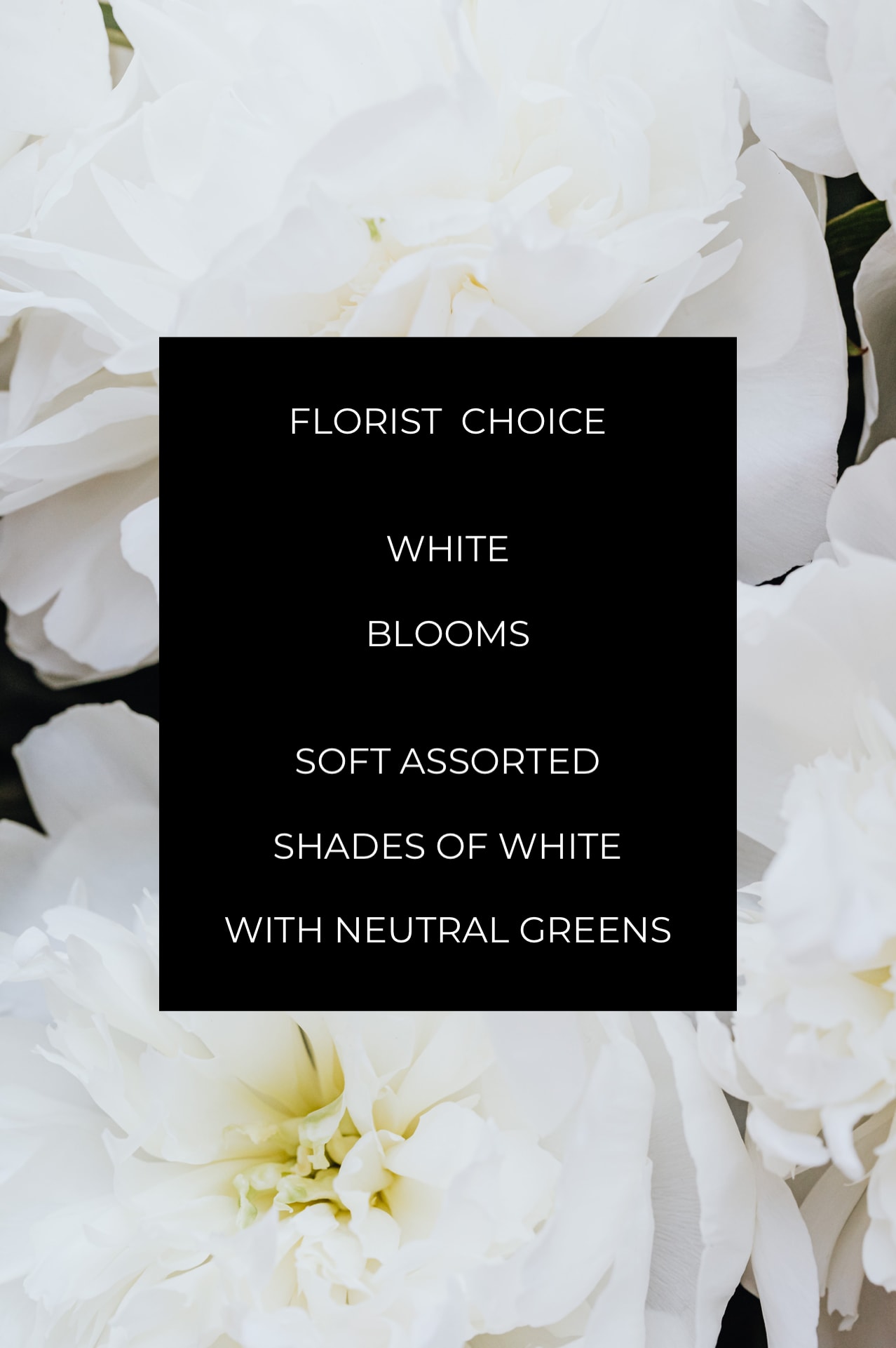 The Florist Choice white - A designer will curate a beautiful arrangement with the freshest blooms of the day, in assorted white shades with neutral greens. Usually is a compact arrangement. If you desire a tall and airy style please request in special instructions.  Flowers and containers are based on availability. While we are unable to guarantee a specific flower style, we always ensure your arrangement is beautiful, fresh, and vibrant!