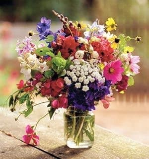 Say it with Bright! - Bright and colorful with a mix of seasonal flowers at their peak.  Perfect for everyday and any occasion. 