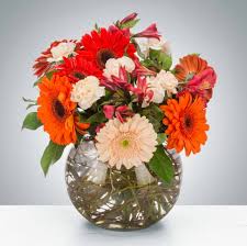 Cider Donuts by BloomNation™ Cider Donuts by BloomNation™ - This cheerful autumn arrangement features a variety of fall-colored daisies, alstroemeria, and carnations in a bubble vase with curly willow. Cider donuts, pumpkin spice, hayrides all go hand-in-hand. Send this to a fall-loving person as a perfect just because of surprise or as a Thanksgiving gift. Approximate Dimensions: 12"D x 14"H