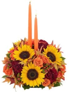 Magnificence  - When family and friends gather around the table this Fall and Thanksgiving season, the entire room is sure to be brought to life by this magnificent centerpiece featuring sunflowers, spray roses, carnations and hypericum. Adding to the abundant design are Falll foliage leaves, salal, an elegant bowl container and 2 Patrician candles. 