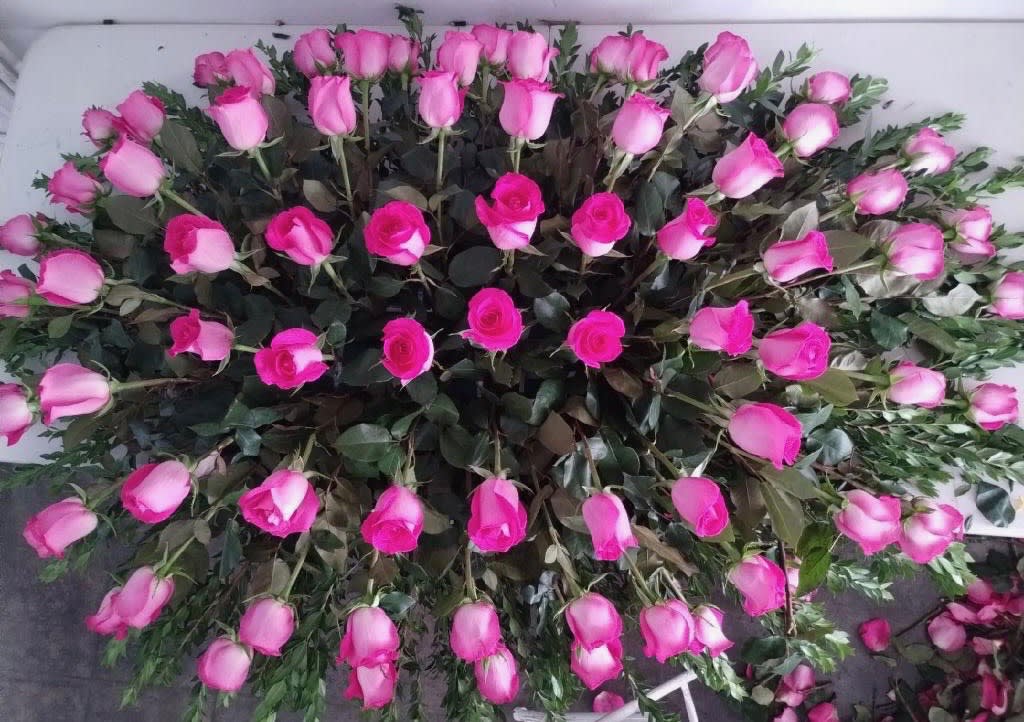 pinky 0.0 pinky 0.0 - hot pink rroses