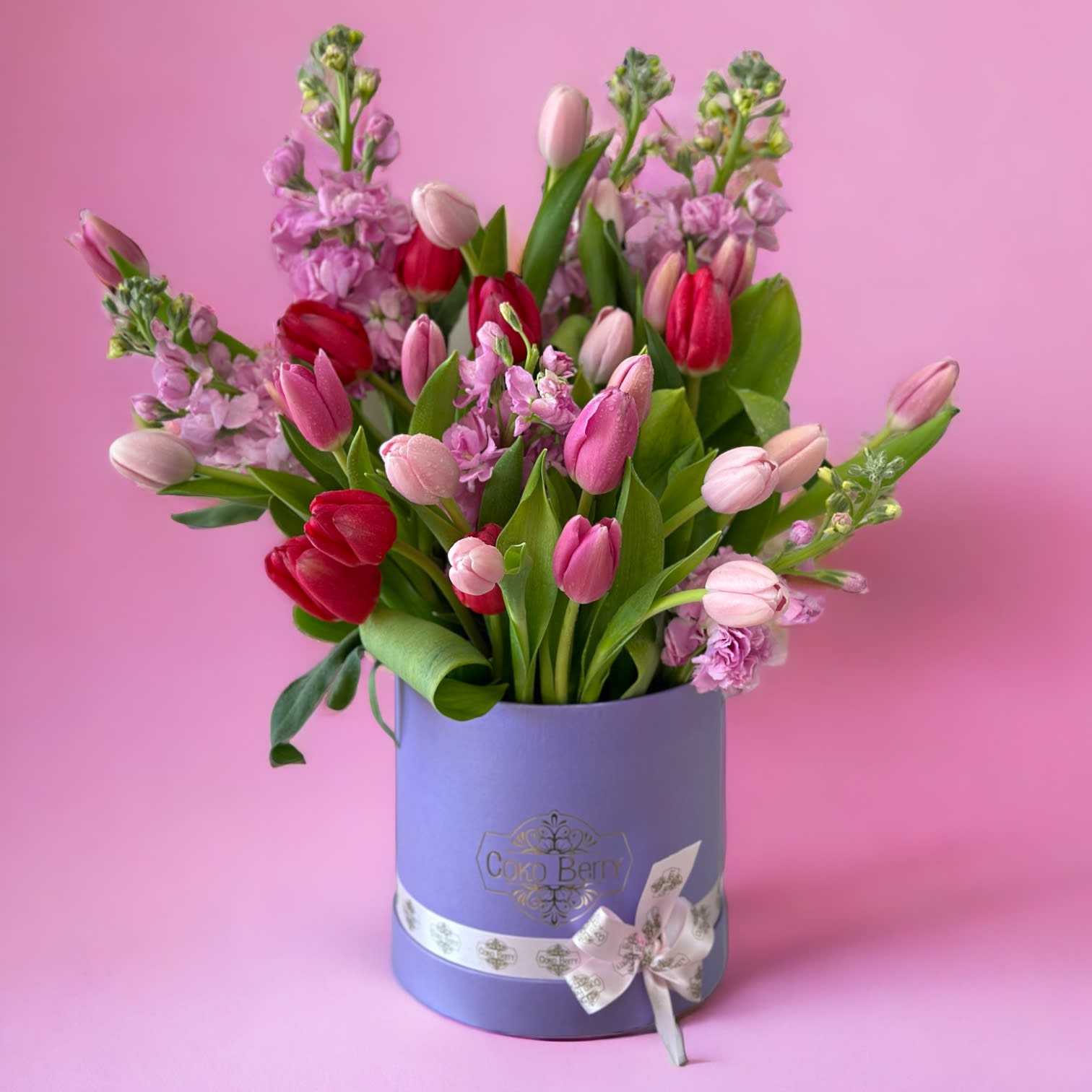 Magic Tulips and Stock - 25 to 30 fresh tulips and Stock flowers in a box (Colors vary according to availability) Flowers 360 degrees box. Ribbon. Care instructions. Custom greeting card.