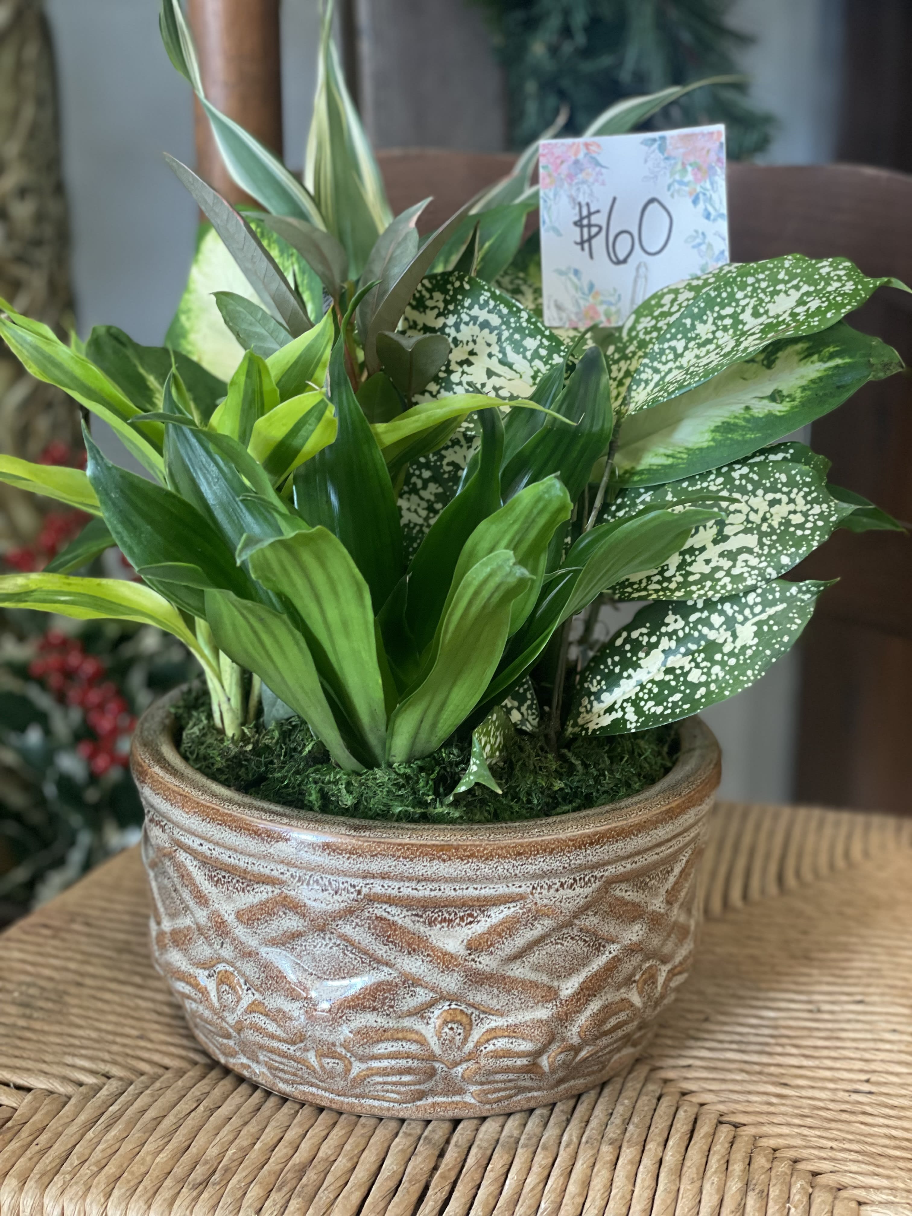 12&quot; Dish Garden - Dish gardens come with a variety of plants in a beautiful ceramic, wood or metal container.  They come planted and ready to display, with a coordinating bow. These beautiful arrangements give you the ability to separate and share with others or enjoy as a full arrangement until they outgrow their home.  