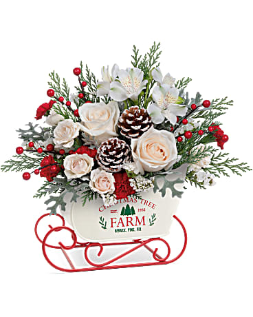 Winter Sleigh Bouquet Winter Sleigh Bouquet - With its snowy white rose bouquet and vintage-inspired tree farm motif, this charming metal sleigh is a classic Christmas favorite. This holiday bouquet features crème spray roses, white alstroemeria, miniature red carnations, white sinuata statice and cedar arranged with dusty miller. Teleflora's Winter Sleigh Bouquet is delivered in Teleflora's Snow What Fun Sleigh Keepsake
