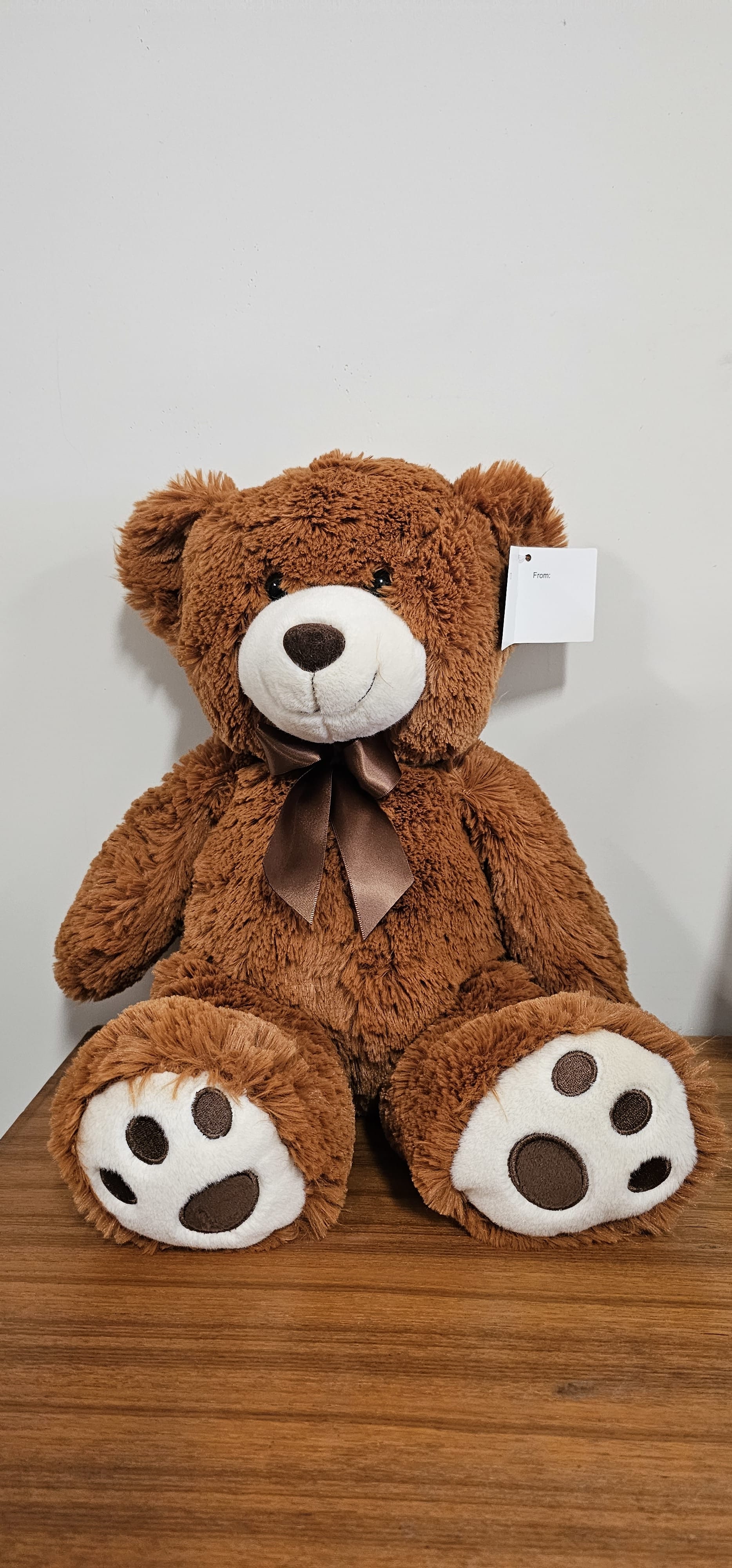 Adorable brown bear  - Brown bear to wish a better Birthday or Get well Soon to your loved ones 