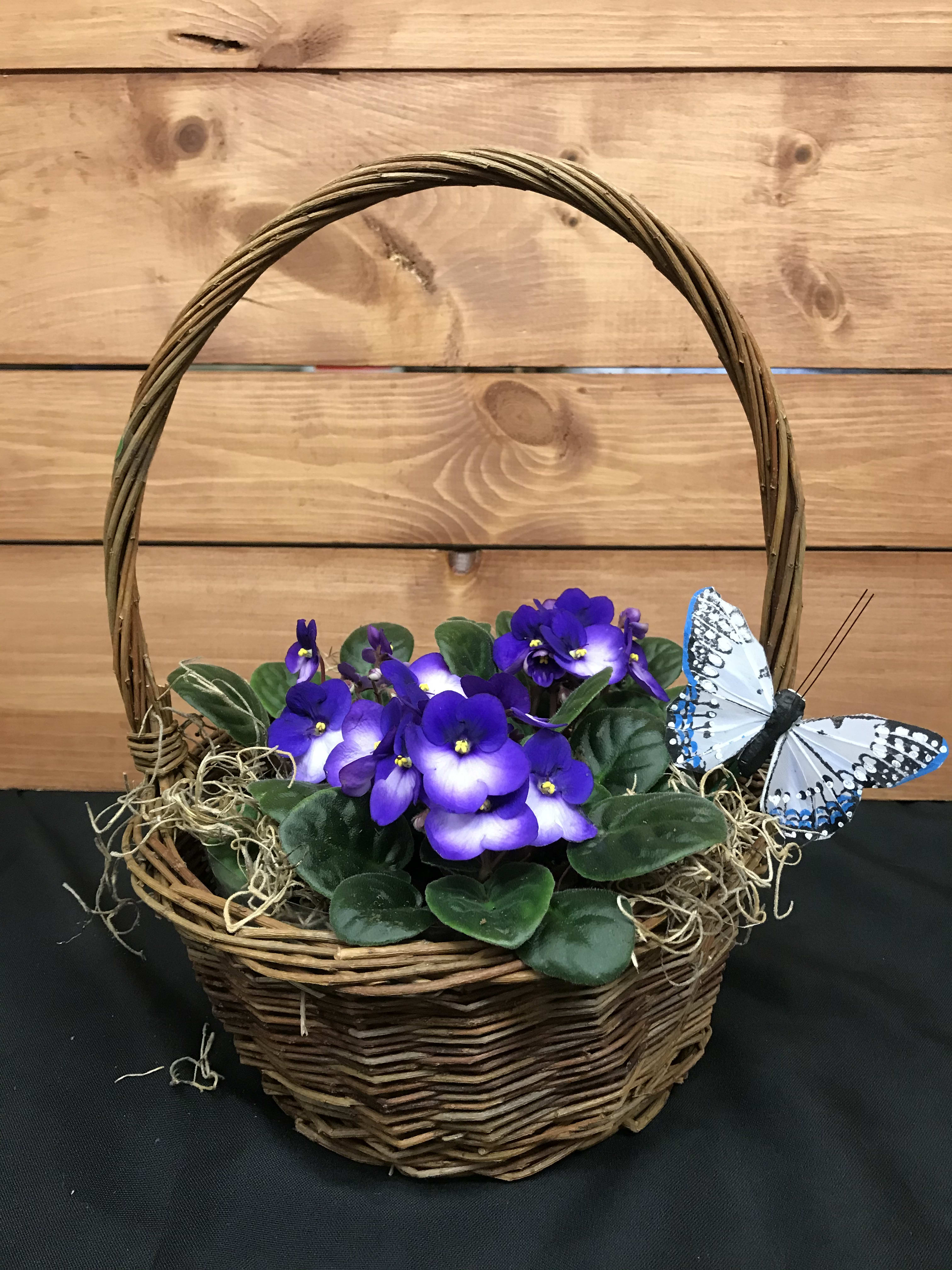 Basket violette online