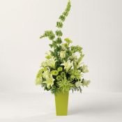 Bells Of Beauty - Bells Of Beauty