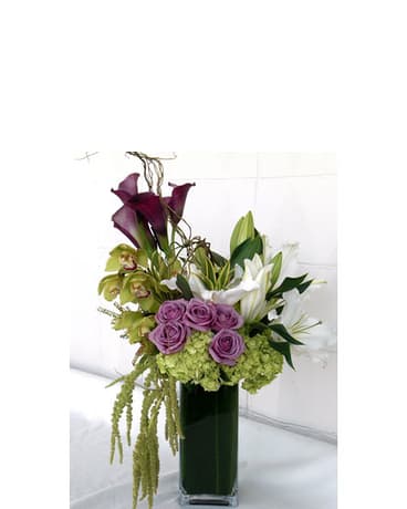  Dazzling Blooms - Experience the dazzle of floral beauty with this captivating arrangement from Dave's Flowers. Featuring a combination of eggplant calla lilies, white lilies, lavender roses, green cymbidium orchids, green hydrangea, and intriguing hanging amaranthus, this artistic ensemble is arranged in a tall glass container.  At Dave's Flowers, we specialize in creating visually stunning floral masterpieces. This captivating combination of blooms is expertly crafted to add a touch of elegance to any space.  Explore the floral artistry of Dave's Flowers and order now to bring the richness and allure of eggplant calla lilies, white lilies, lavender roses, green cymbidium orchids, green hydrangea, and hanging amaranthus to your surroundings. Perfect for various occasions, our creations add timeless beauty to every moment.