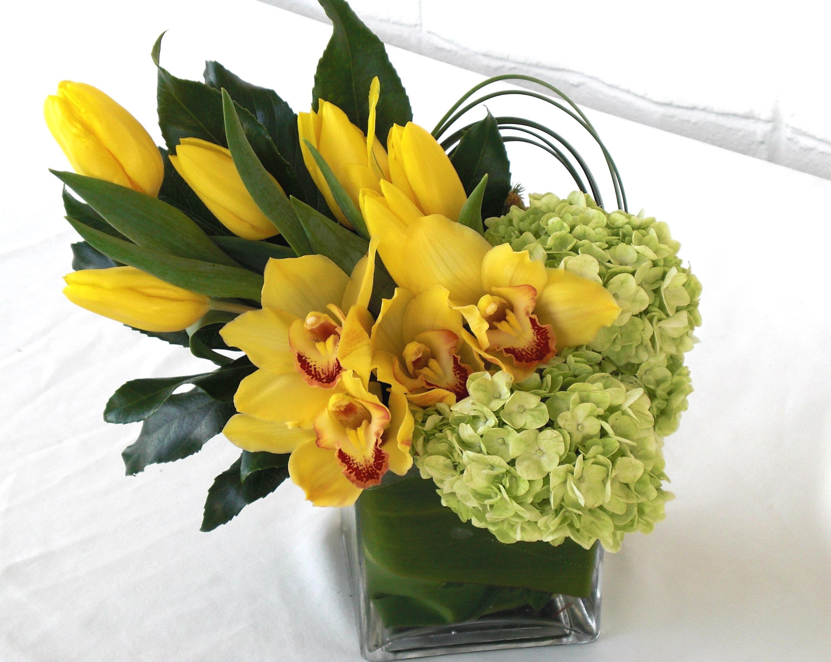 Simply Yellow Simply Yellow - Bring the warmth of sunshine into your space with Dave's Flowers, your trusted local florist, featuring a delightful arrangement of yellow tulips and cymbidium orchids accented by a touch of soft green hydrangea. Our expertly crafted floral ensemble is presented in a chic glass cube container, adding a touch of modern elegance to your surroundings. At Dave's Flowers, we understand the power of blooms to brighten any day, and our Yellow Tulip and Cymbidium Orchid Arrangement is designed to do just that. This vibrant combination of colors and textures creates a visual feast that is perfect for any occasion. Whether you're looking to add a pop of color to your home or searching for a thoughtful gift, Dave's Flowers has you covered. Our commitment to excellence is reflected in every petal, ensuring that you receive not just flowers but a moment of joy and beauty. Explore our collection today and bring the sunshine indoors with our Yellow Tulip and Cymbidium Orchid Arrangement. Trust Dave's Flowers to deliver floral perfection that speaks the language of happiness and elegance. Product ID: DF-1479
