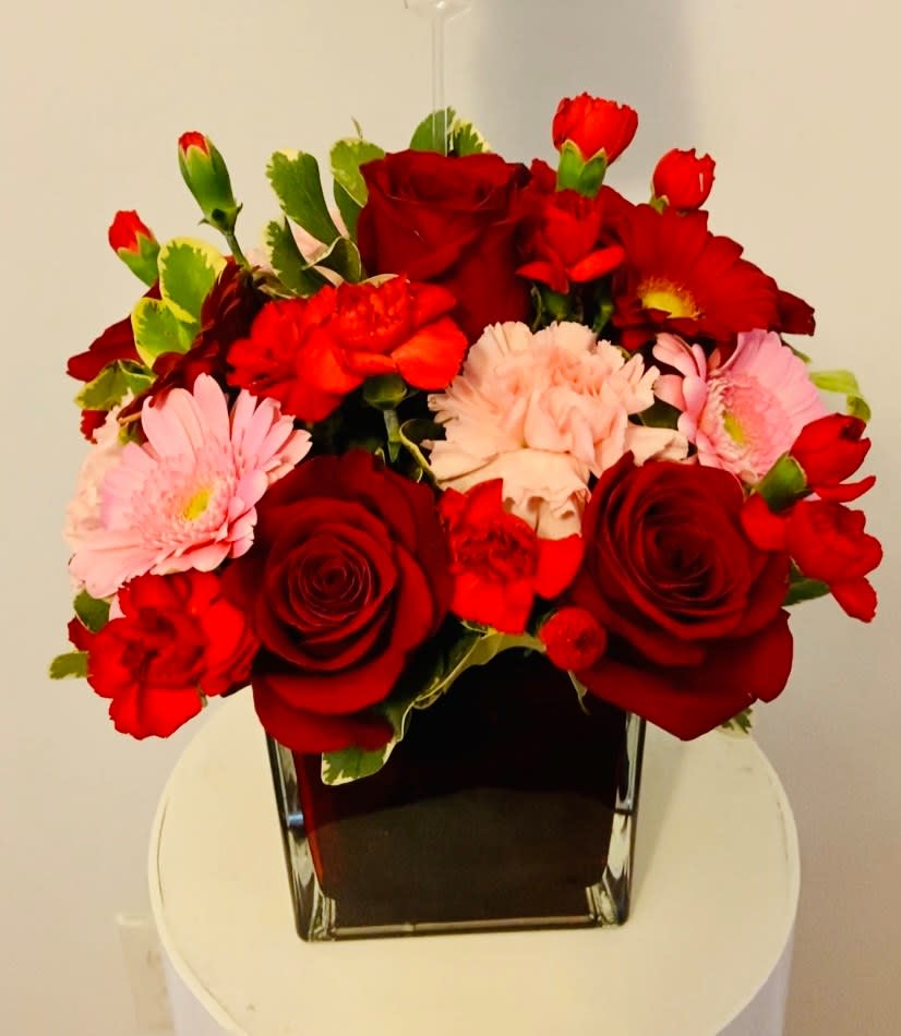 Lively by Bloom by Nancy - Red Roses, Carnations, Gerbera Daisy 