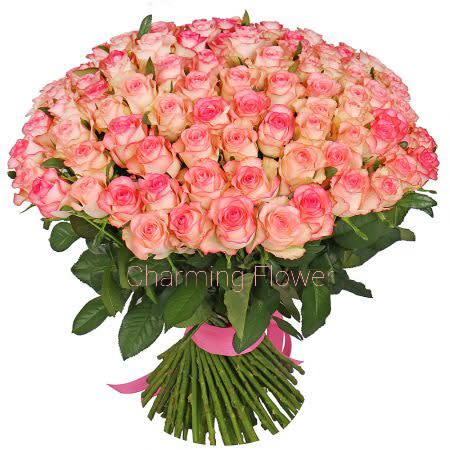 101 Beautiful Roses No Vase In New