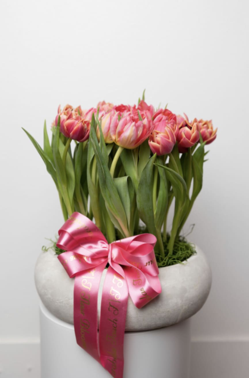 Tulips lipstick  - Bring beauty to the table with elegant arrangement, presented in a round cement vase. This arrangement features tuplies all around.   Due to the seasonality of flowers or supply chain issues, substitutions may occasionally need to be made. While we understand this is an inconvenience, we will fill your order with an arrangement of similar color and design style.