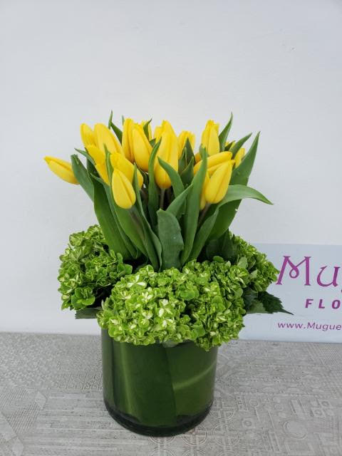 Bonjour: A Radiant Blend of Yellow Tulips and Lush Green Hydrangea - The language of flowers speaks in colors, shapes, and textures, conveying messages that transcend words. The arrangement of yellow tulips and lush green hydrangea embodies the essence of a bright and cheerful &quot;Bonjour.&quot; This arrangement welcomes you to a world of vibrant beauty and natural elegance, like a sunny morning greeting.  &quot;Other color tulips are available; please call the shop for more information.&quot; Varieties and colors of flowers may vary according to season and availability. This arrangement includes a newly cleaned vase and good quality water &amp; flower food.  Item: 203  Care Instructions: For the best vase life, change the water every two days.   