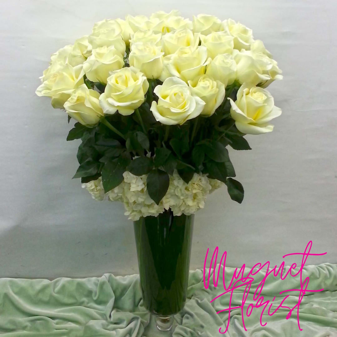 Roses Blancos: La Elegancia de la Pureza - White roses, with their pristine and timeless beauty, are a universal symbol of love, purity, and elegance. The &quot;White Roses&quot; arrangement celebrates the enduring beauty of white roses, offering a floral composition that embodies simplicity, purity, and grace. Each rose in this arrangement symbolizes elegance and sophistication, making it a perfect choice for various occasions. Join us as we explore the petals of this arrangement, where each rose becomes a testament to the exquisite beauty of white blooms.   Varieties and colors of flowers may vary according to season and availability. This arrangement includes a newly cleaned vase and good quality water &amp; flower food.  Item: 144  Care Instructions: Change the water every two days for the best vase life.