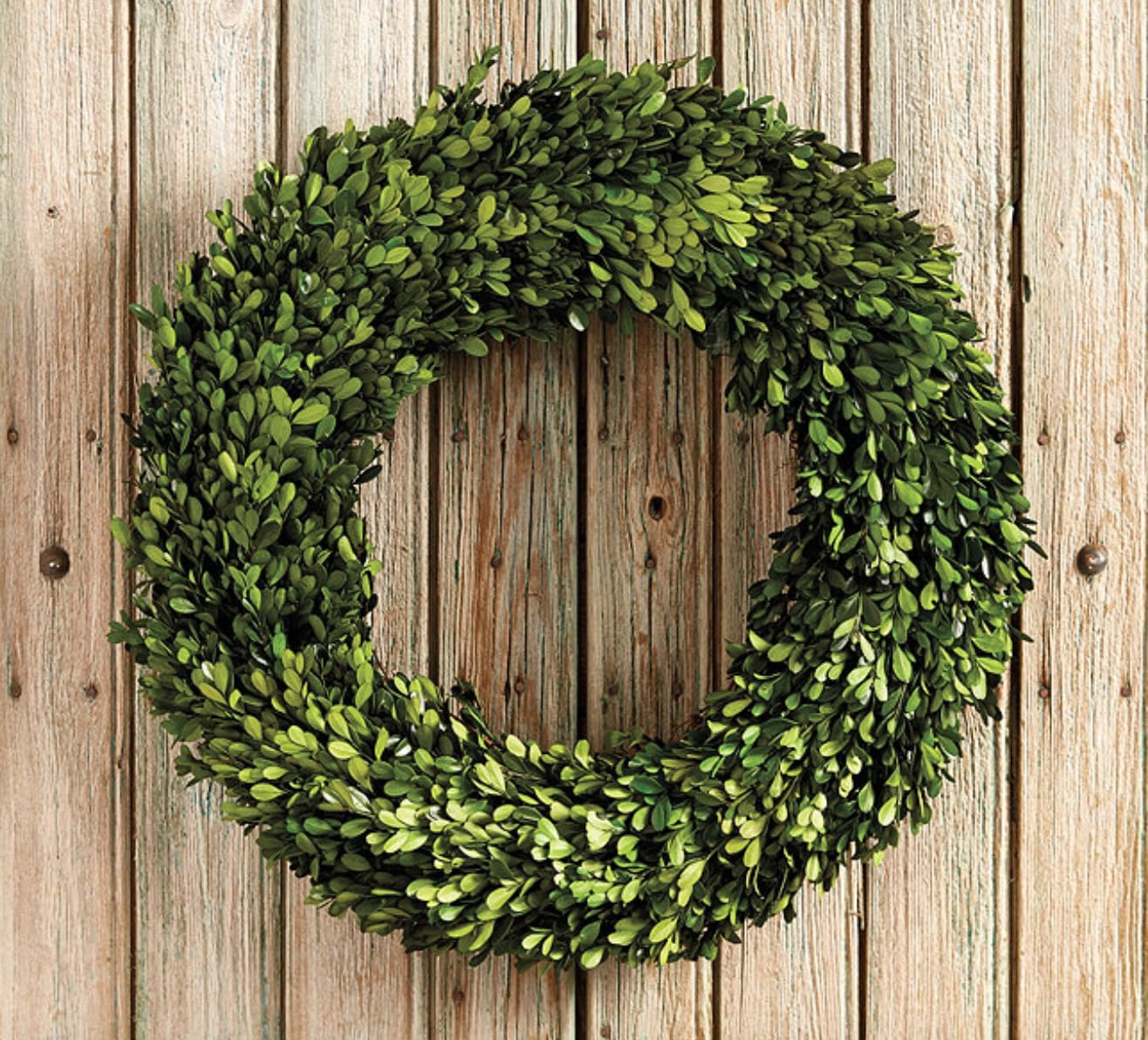 Preserved Boxwood Wreath by Bells and Whistles at The Flower Field