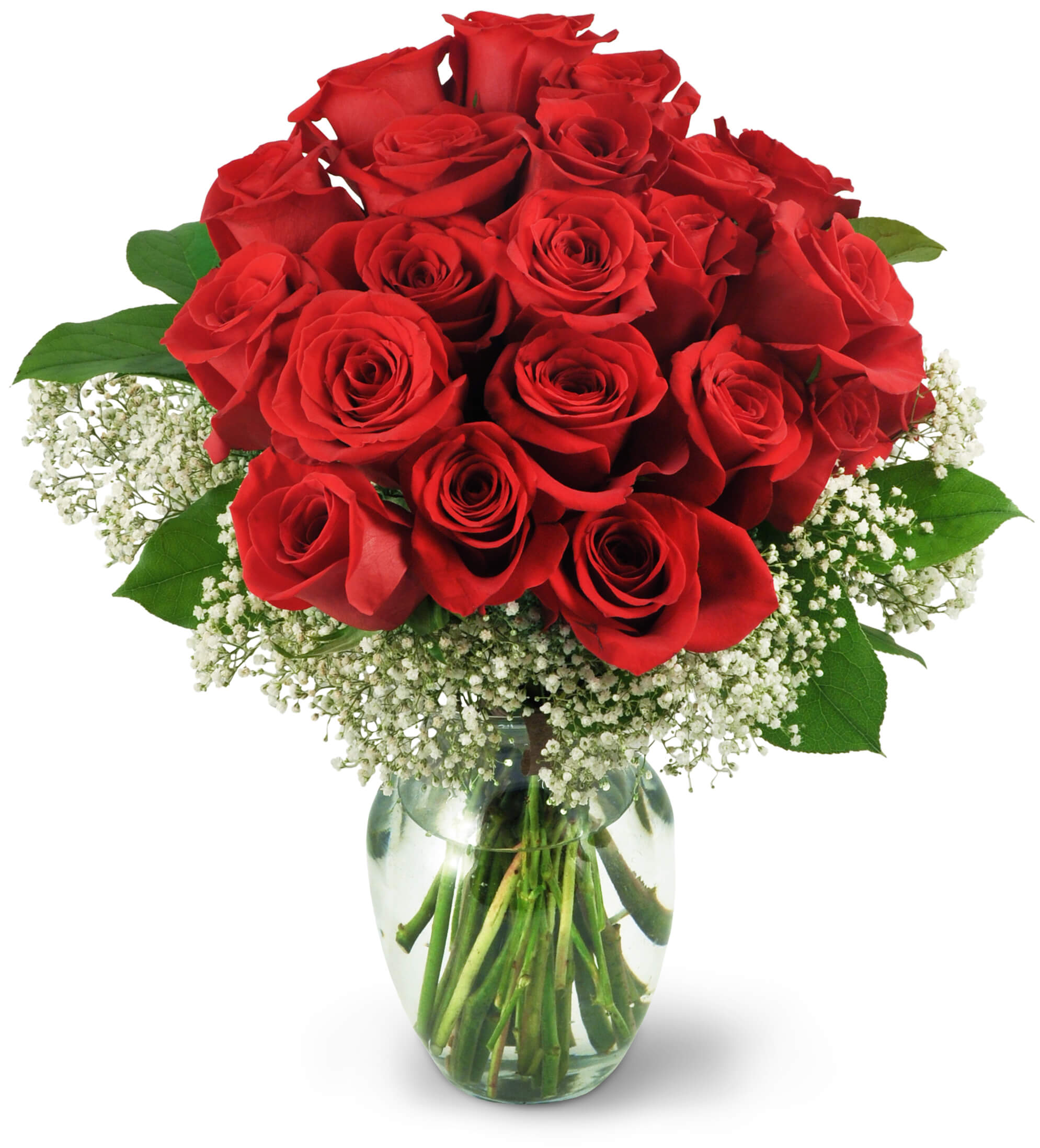 Red rose sale baby