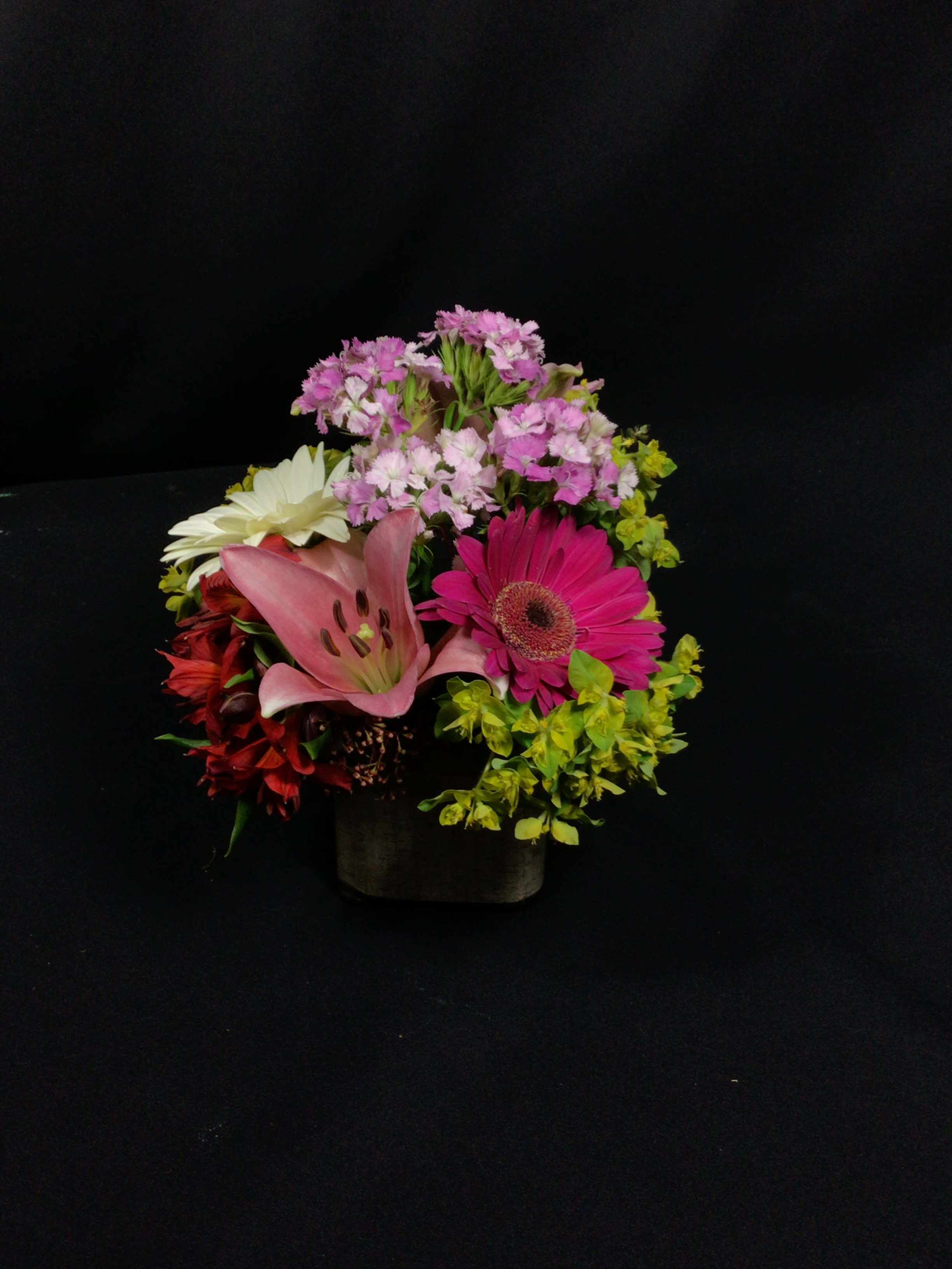 Our DEAL of the DAY! Seasonal flowers, Deisgners Choice in a Garden inspired arrangement. - Send a Smile, Brighten the Day, Say, I Love You! Many reasons to send flowers but You're not sure what is going to be the best way...Flowers can say it for You. Our DEAL of the DAY! is perfect. Let our designers create something that fits Your budget and get'er done today! Fresh seasonal flowers. Shown are some Examples of previous Deal of the Day! Share with our designers some possible favs like, their fav color, maybe a fav flower. We just might have that in our current inventory.