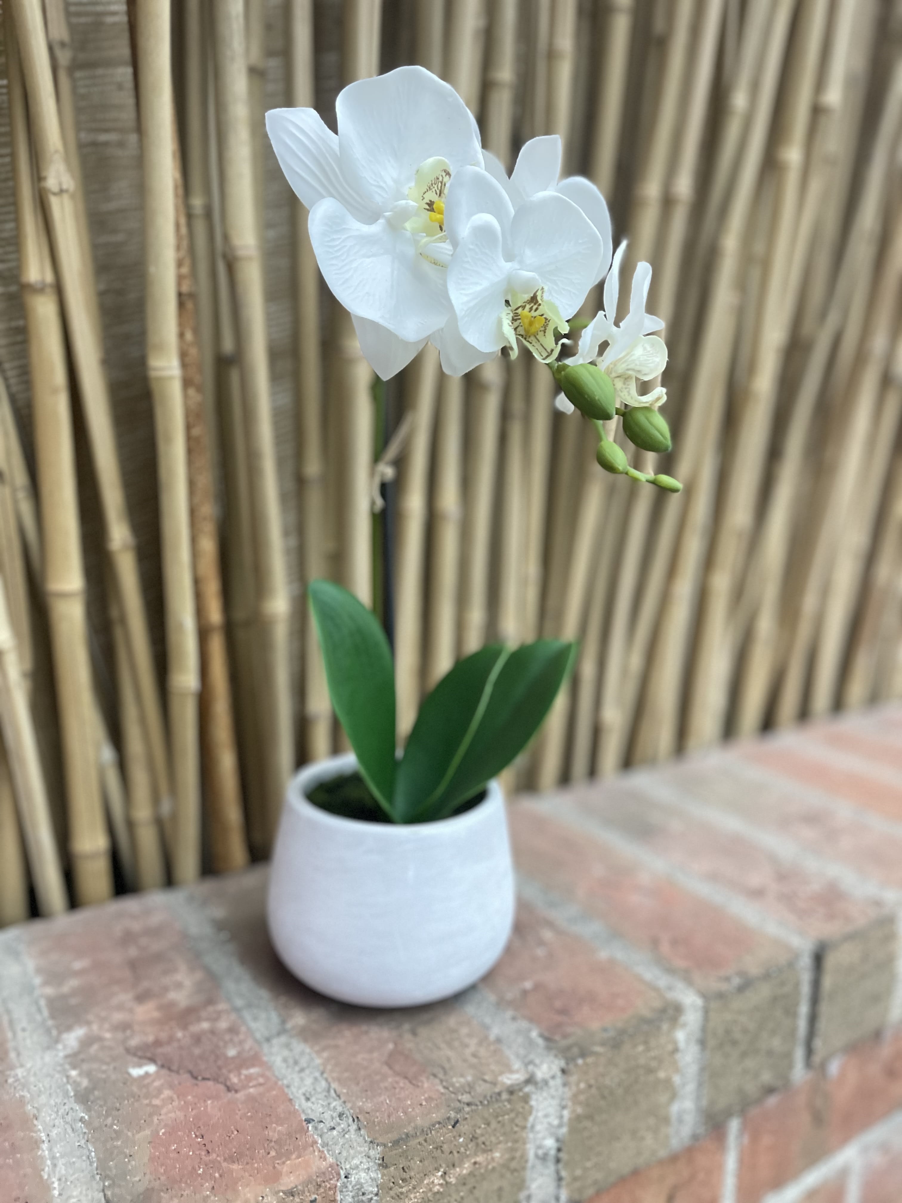 Timeless Simplicity: Artificial 13&quot; White Orchids Decoration - Elevate your surroundings with the understated beauty of our Artificial 13&quot; White Orchids Decoration. This carefully crafted arrangement features delicate white orchids, providing a touch of grace and simplicity to your space.  Key Features:  Delicate White Orchids:  The artificial arrangement showcases delicate white orchids that mirror the elegance of real flowers. Each petal and detail is crafted with precision, creating a lifelike and timeless display. Compact Size:  Standing at 13 inches tall, this arrangement is perfect for adding a touch of beauty to smaller spaces. The compact size makes it versatile for placement on tables, desks, or any area where space is limited. Realistic Foliage:  The arrangement includes realistic green foliage that complements the white orchids, enhancing the overall natural appearance. The combination of white and green creates a harmonious and refreshing visual effect. Chic Decorative Pot:  The white orchids are presented in a chic and stylish decorative pot, adding a touch of sophistication to the arrangement. The pot is chosen to complement the simplicity and beauty of the orchids. Maintenance-Free Elegance:  Enjoy the beauty of orchids without the need for watering, sunlight, or upkeep. The artificial nature of the arrangement ensures long-lasting elegance with minimal maintenance. Versatile Placement:  Place the Artificial 13&quot; White Orchids in various settings, including bedrooms, offices, or as a charming accent on side tables. The neutral color palette and timeless design make it suitable for a range of interior styles. Subtle Height and Presence:  With a height of 13 inches, this arrangement provides a subtle yet impactful presence in any space. Its modest size allows for placement in areas where a touch of botanical elegance is desired. Symbolism of White Orchids:  White orchids are often associated with purity, innocence, and beauty. This arrangement brings these symbolic qualities into your home or office, creating a serene and tranquil atmosphere. Perfect Gift:  The Artificial 13&quot; White Orchids Decoration makes for a perfect gift for special occasions, celebrations, or to express appreciation. Gift someone the charm of everlasting orchids that brighten their space effortlessly. Adorn your surroundings with the timeless simplicity of the Artificial 13&quot; White Orchids Decoration. This carefully designed arrangement effortlessly captures the grace and beauty of white orchids, providing a lasting and charming addition to your decor.
