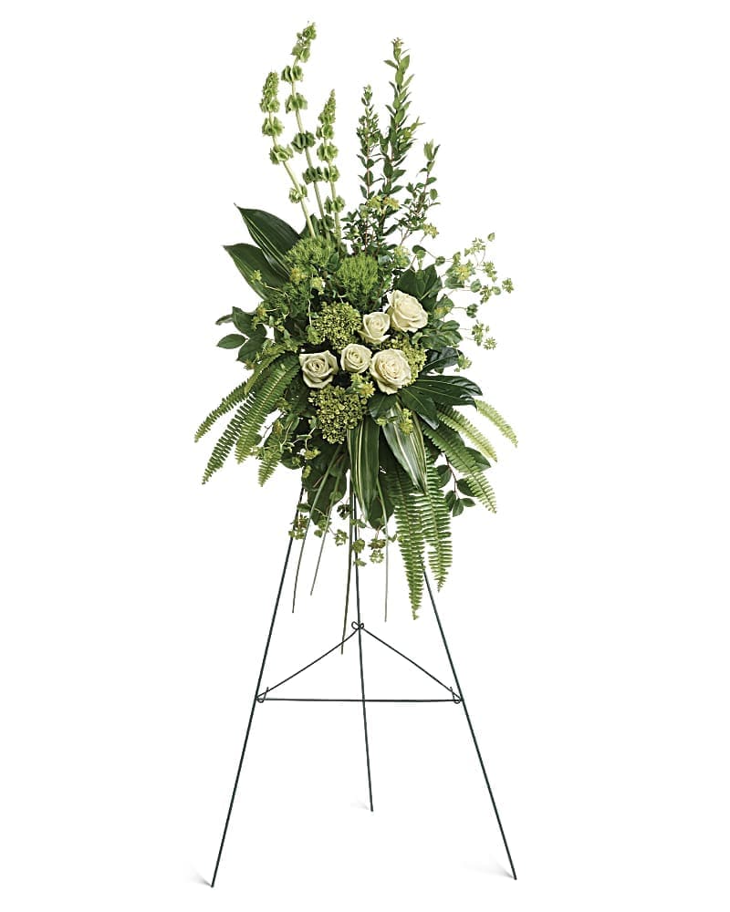 Forever At Peace Spray - A peaceful display of affection and sympathy this monochromatic spray of gorgeous fresh greens and pure white roses is a vision of tranquility. This tranquil spray of miniature green hydrangea green roses green trick dianthus and bells of Ireland is accented with bupleurum myrtle sword fern variegated aspidistra leaves aralia leaf bear grass and lemon leaf. Delivered with a wire easel.