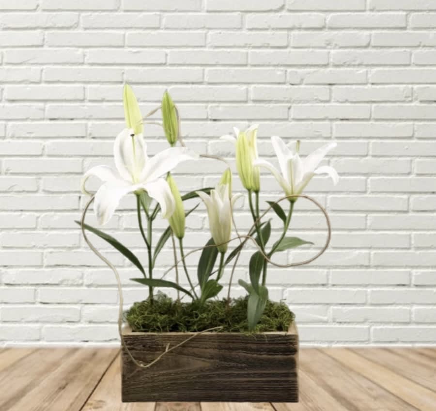 One of a Kind - Lilies and swirling Wisteria Vine designed in a mossed, reclaimed wood box.  If ordered out of season for unable to get a specific color we will make appropriate substitutions.